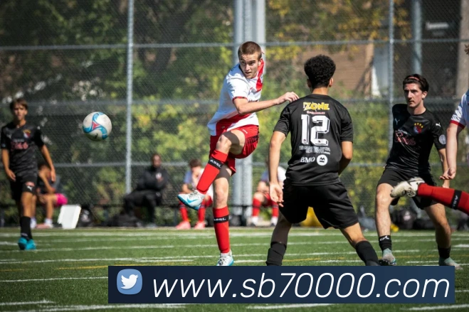 奖项证书
